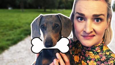 PULS Reportage: Wie umweltfreundlich ist die Haltung von Hund, Katze & Co.?