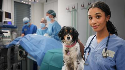 PULS Reportage: 2 Tage Tierklinik