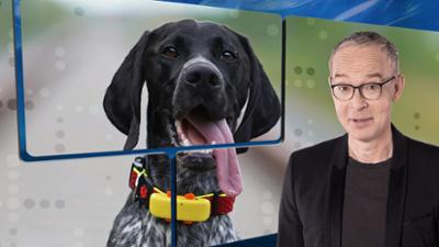 quer: ... durch die Woche mit Christoph Süß