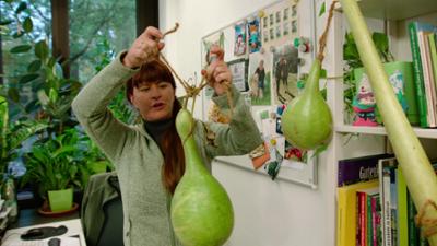 Querbeet