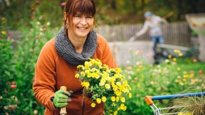 Querbeet: Vegetative Vermehrung