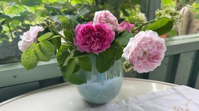 Schnittgut. Alles aus dem Garten: Nachhaltige Schnittblumen - Sommerstrauß - Kohlsorten