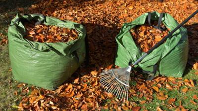 Schnittgut. Alles aus dem Garten: Schnittgut, 04.11.25: Blätterberge