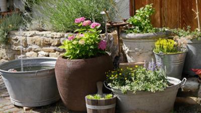 Schnittgut. Alles aus dem Garten: Töpfe und Kübel, bewegliche Pflanzen, Nebelhaus