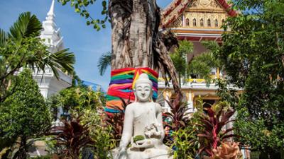 Schnittgut. Alles aus dem Garten: Schnittgut, 12.06.25: Asiatische Gartengestaltung