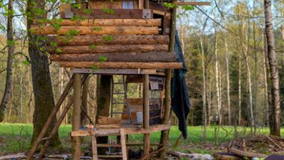 Schnittgut. Alles aus dem Garten: Schnittgut, 18.07.25: Kindheitstraum Baumhaus