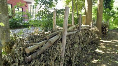 Schnittgut. Alles aus dem Garten: Schnittgut : Benjeshecke