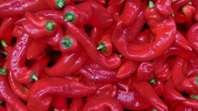 Schnittgut. Alles aus dem Garten: Schnittgut, 29.08.25: Natürlich wirksam? Chili Schnittgut. Alles aus dem Garten: Schnittgut, 29.08.25: Natürlich wirksam? Chili