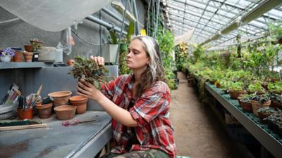 Schnittgut. Alles aus dem Garten: Schnittgut, 30.10.26: Orangerie im Garten