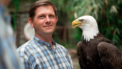 Seelöwe & Co. - tierisch beliebt: Ein Weißkopfseeadler auf Tuchfühlung (9) Seelöwe & Co. - tierisch beliebt: Ein Weißkopfseeadler auf Tuchfühlung (9)