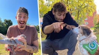 Sehen statt Hören: Jason und die Haustiere · Brieftaube & Assistenzhund
