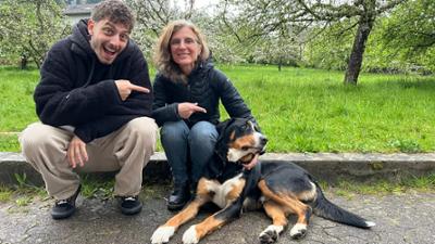 Sehen statt Hören: Jason und die Haustiere · Wie Hund und Katz & Quarter Horses