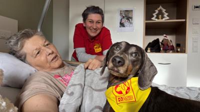 STATIONEN: Seelsorger auf vier Pfoten · Wie Tiere Menschen helfen