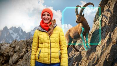 Supertiere made in Bavaria: Bionik am Baum · Das Eichhörnchen