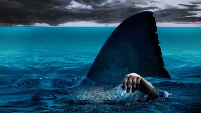 The Reef - Schwimm um dein Leben: The Reef · Schwimm um dein Leben The Reef - Schwimm um dein Leben: The Reef · Schwimm um dein Leben