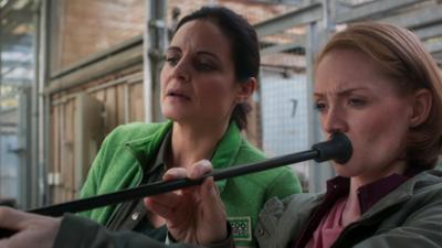 Tierärztin Dr. Mertens: Folge 67: Eine neue Melodie (S06/E02)