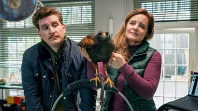 Tierärztin Dr. Mertens: Folge 94: Der Sturz (S08/E10)