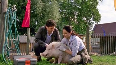 Tierärztin Dr. Mertens: Folge 49: Falscher Verdacht (S04/E10)