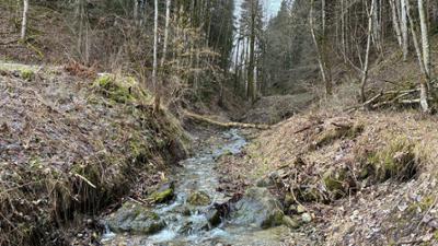 Unkraut: Wem gehört unser Wasser?