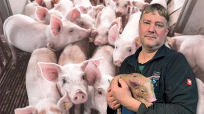 Unser Land: Spanisches Billigfleisch setzt Schweinehalter unter Druck