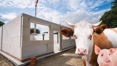 Unser Land: Stallbau zwischen Tierwohl und Umweltschutz
