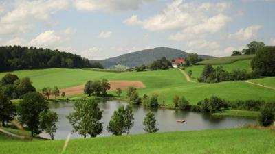 Unter uns: Sommer am Ebenreuther See