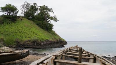 Verrückt nach Meer: 425: Im Dschungel von São Tomé (S10/E25)