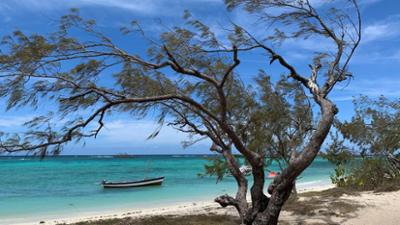 Verrückt nach Meer: 413: Die Magie von Madagaskar (S10/E13)