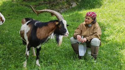 Versteckte Paradiese: · Arche-Höfe in den Alpen