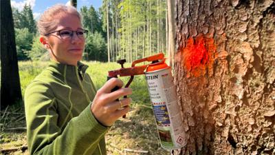 Wald Queens - Frauen im Forst: Im Einsatz gegen Borkenkäfer, Wildverbiss und Dürre (1/5)