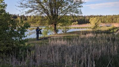 Welt der Tiere: Wo ist der Wiedehopf – Vogelsuche in Franken