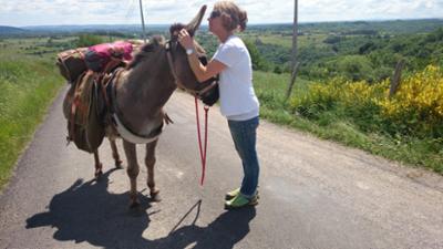 Welt der Tiere: Mit dem Esel auf dem Jakobsweg