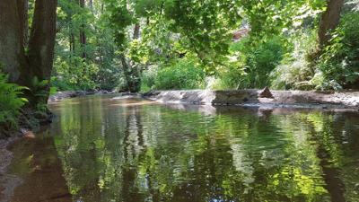 Welt der Tiere: Die schwarze Perle des Bayerischen Waldes
