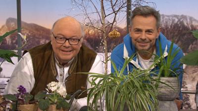 Wir in Bayern: Ganze Sendung: Bayernlos, Zimmerpflanzen für schattige Räume, Cordon Bleu