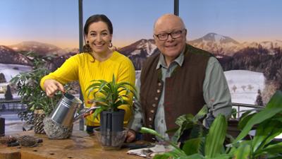 Wir in Bayern: Ganze Sendung: Hydrokultur - Kugeln, die es in sich haben , Bayernlos, Mohnschupfnudeln mit Blaubeer