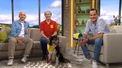 Wir in Bayern: Ganze Sendung: Markus Barth, Zivilcourage, Kartoffelmaultaschen