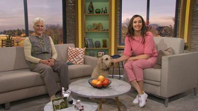 Wir in Bayern: Sendung : Eselsfarm, Erkältungstees, Rehrücken mit zweierlei Topinambur