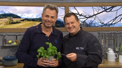 Wir in Bayern: Ganze Sendung: Kühflüsterin, Sehtraining, Karotten-Ingwer-Suppe mit Basilikumknödeln