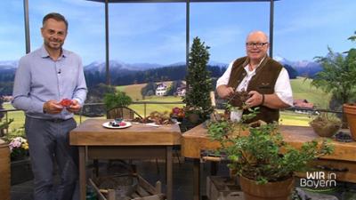 Wir in Bayern: Landärztin Beeren auf dem Balkon Zucchinitaler
