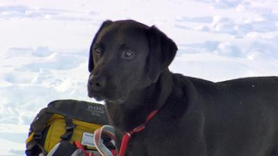 Zoogeschichten: Spike möchte toben
