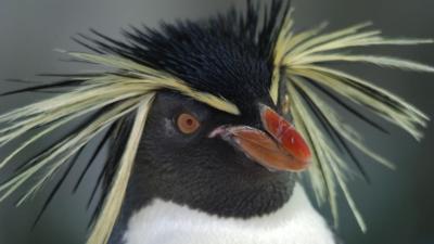 Zoogeschichten: Umzugsstress