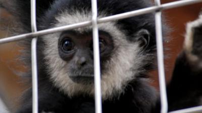 Zoogeschichten: aus Stuttgart