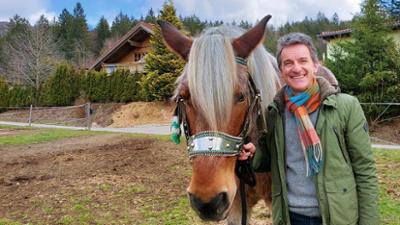 Zwischen Spessart und Karwendel: Osterhofener Rosstag, lebendiger Kreuzweg in Kempten und mehr
