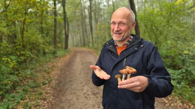 Zwischen Spessart und Karwendel: Pilz-Exkursion, selbst gekelteter Apfelsaft und mehr