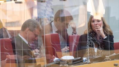 alpha-demokratie: Der Staat als Krisenmanager