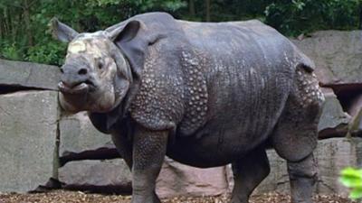 Ich mach's!: Tierpfleger/-in