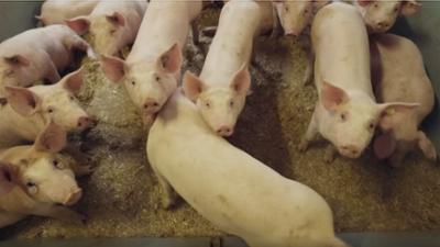 nano: Spätfolgen Covid-19