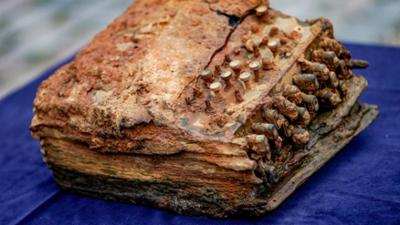 nano: Enigma-Chiffriermaschine