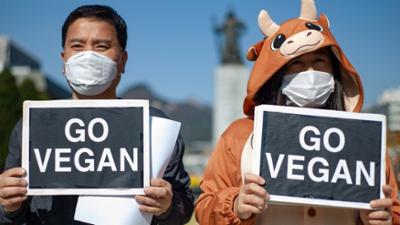 Tagesgespräch: Vegan leben: Haben Sie das schon mal ausprobiert?