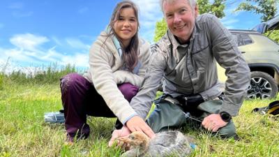 Anna im Land der tausend Seen: Die Suche nach dem Glücksvogel (01)